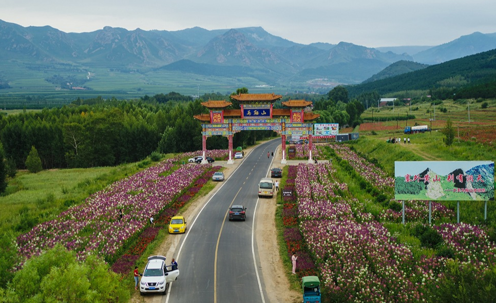 好馬配金鞍　振興自?shī)^蹄